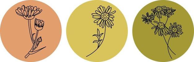 Vector icons for stories. Chamomile and calendula black line.