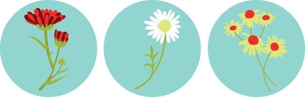 Icons for related stories with chamomile and calendula on blue. vector