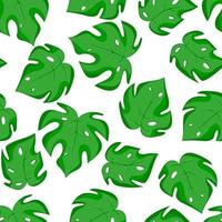 Seamless exotic green leaves. Monstera seamless pattern. vector