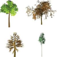 Spring and autumn trees pack vector