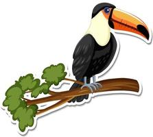 A sticker template of toucan cartoon character vector