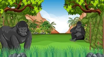 Gorilla in forest or rainforest scene with many trees vector