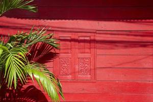 Red wooden wall and Asian tree photo