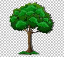 A tree with green leaves vector