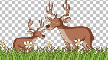 Deer standing on the grass field vector