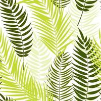 hermoso, palmera, hoja, silueta, seamless, patrón, plano de fondo vector