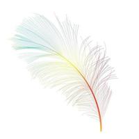 Bird Feather Hand Drawn Background Vector Illustration