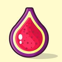 fig fruit slice illustration in flat style vector