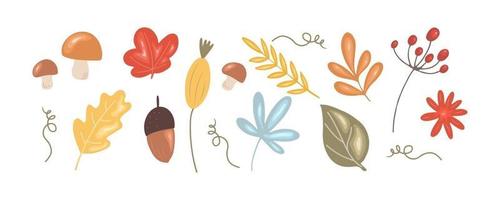 Thanksgiving floral set. Leaves, mushrooms, berries, acorns vector