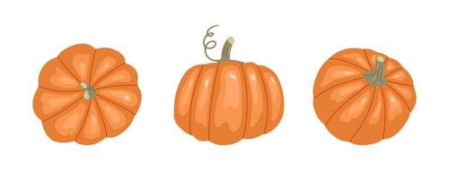 Pumpkin set. Top, front and side views. Vector illustration