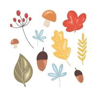 Thanksgiving floral set. Leaves, mushrooms, berries and acorns vector