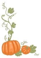 Pumpkin border with stems and leaves. Thanksgiving design vector