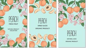 Set of hand drawn peach vertical designs. vector