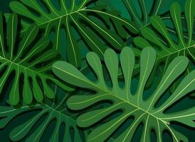 Tropical green leaves background vector