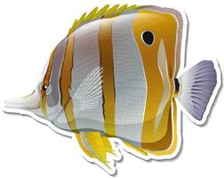 Teardrop butterflyfish sea animal sticker vector