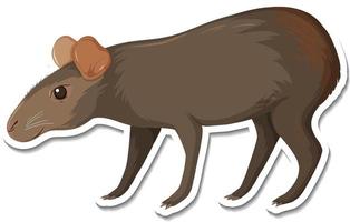 A sticker template of black capybara cartoon character vector