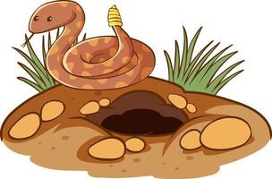 Serpiente de cascabel con agujero sobre fondo blanco. vector