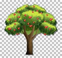 Apple tree isolated vector