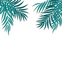 Beautiful Palm Tree Leaf  Silhouette Background Vector Illustration