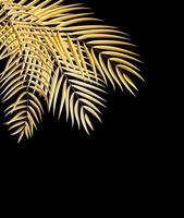 Beautiful Palm Tree Leaf  Silhouette Background Vector Illustration