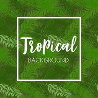 Beautiful Palm Tree Leaf  Silhouette Background Vector Illustration