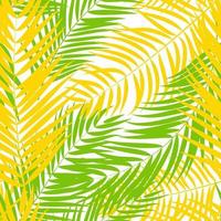 hermoso, palmera, hoja, silueta, seamless, patrón, plano de fondo vector