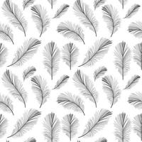 Bird Feather Hand Drawn Seamless Pattern Background vector