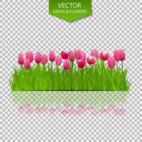 fondo floral con tulipanes vector