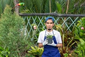 Hombre asiático trabaja en la tienda de jardinería de plantas foto
