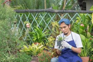 Asian man work in plant  garden shop photo