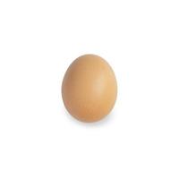 One brown egg on isolated white background, Top view photo