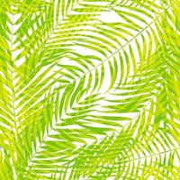 hermoso, palmera, hoja, silueta, seamless, patrón, plano de fondo vector