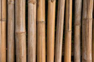 Bamboo fence texture with natural patterns background photo