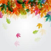 Shiny Autumn Natural Leaves Background. vector