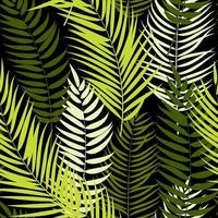 hermoso, palmera, hoja, silueta, seamless, patrón, plano de fondo vector