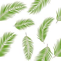 hermoso, palmera, hoja, silueta, seamless, patrón, plano de fondo vector