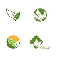 Nature leaf icon and symbol template vector