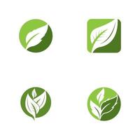 Nature leaf icon and symbol template vector