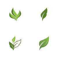 vector de plantilla de icono y símbolo de hoja de naturaleza