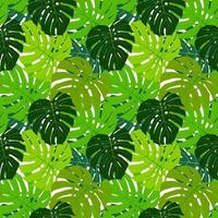 Palm Leaf Seamless Pattern Background Vector Illustration