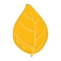 hoja de otoño amarillo aislada sobre fondo blanco. diseño de otoño vector