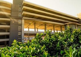 Small bush of banyan tree and the car park building photo