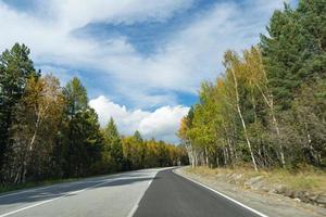 Landscape with a road with an autumn forest on the sides photo