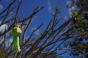 Paper lantern and Plumeria branch with blue sky background. photo