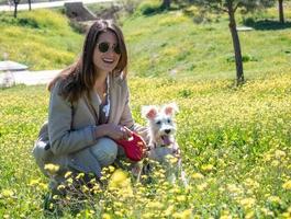 Squatting young woman looks at the camera with her schnauzer dog photo