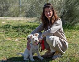 Squatting young woman looks at the camera with her schnauzer dog photo