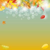 Shiny Autumn Natural Leaves Background. Vector Illustration