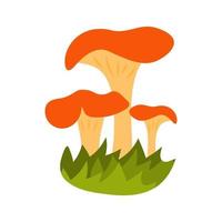 Mushrooms in hand drawn style with grass vector