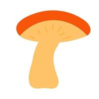 Mushroom in hand drawn style vector