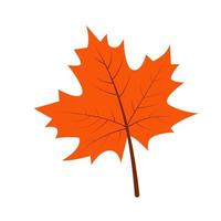 Autumn maple leaf in hand-drawn style vector